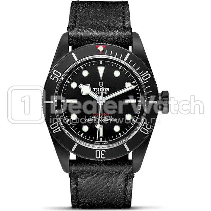 Часы Tudor Heritage 2016 Black Bay Dark