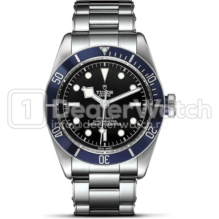 Часы Tudor Heritage Black Bay 79220B