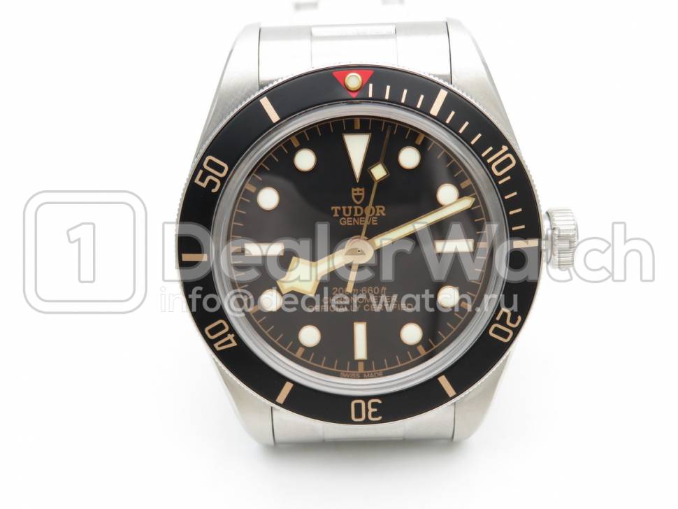 Часы Tudor Heritage Black Bay 79220N
