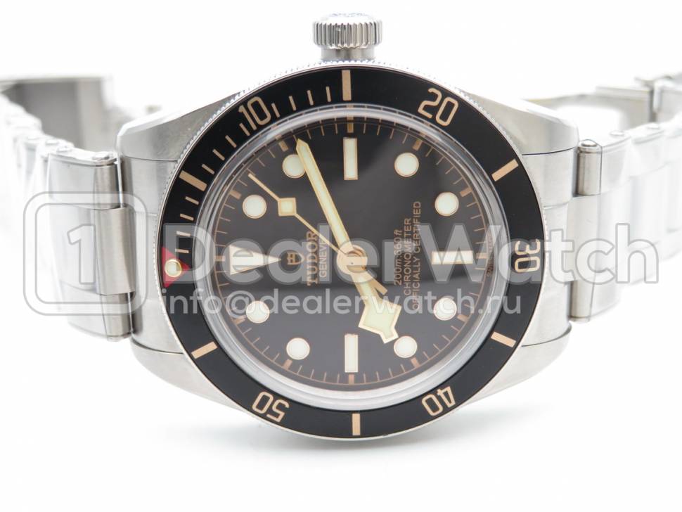 Часы Tudor Heritage Black Bay 79220N