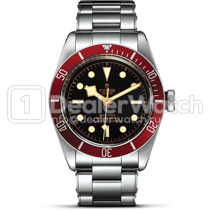 Часы Tudor Heritage Black Bay 79220R