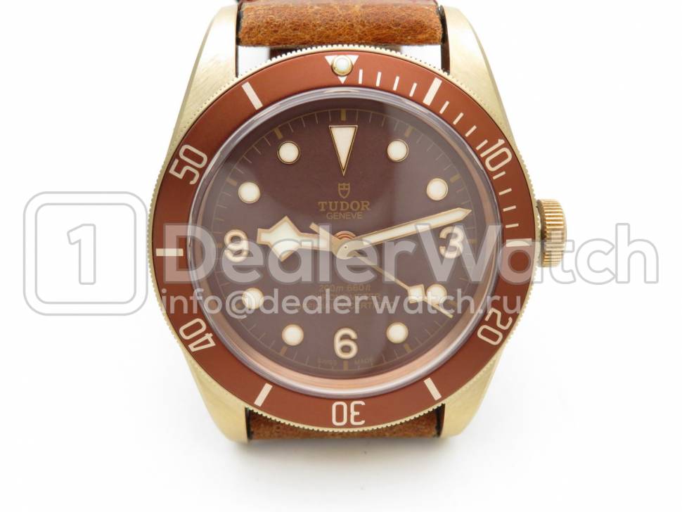 Часы Tudor Heritage Black Bay Bronze 79250BM