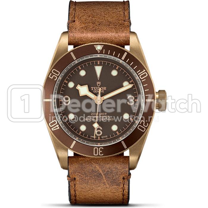 Часы Tudor Heritage Black Bay Bronze 79250BM