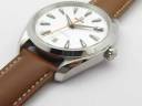 Часы Omega Seamaster Aqua Terra Master Chronometer 220.12.41.21.02.001