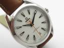 Часы Omega Seamaster Aqua Terra Master Chronometer 220.12.41.21.02.001