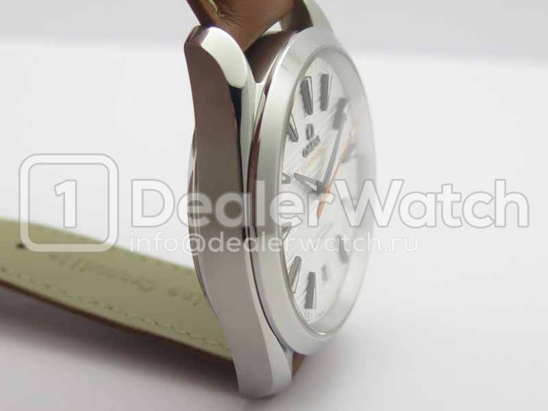 Часы Omega Seamaster Aqua Terra Master Chronometer 220.12.41.21.02.001