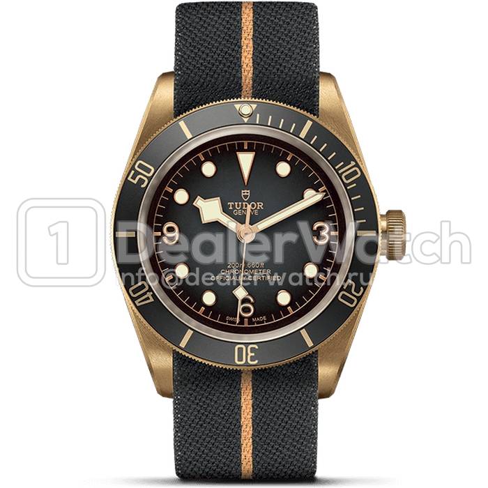Tudor heritage black bay bronze blue top