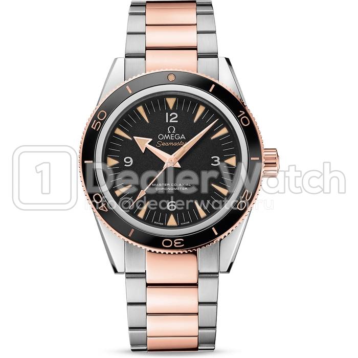 Часы Omega Seamaster 300 Omega Master Co-Axial 41 mm