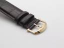 Часы IWC Portofino Automatic IW356516
