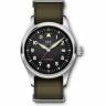 Часы IWC Pilot's Watch Automatic Spitfire IW3268-01