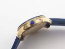 Часы Cartier Calibre de Cartier Diver WGCA0010