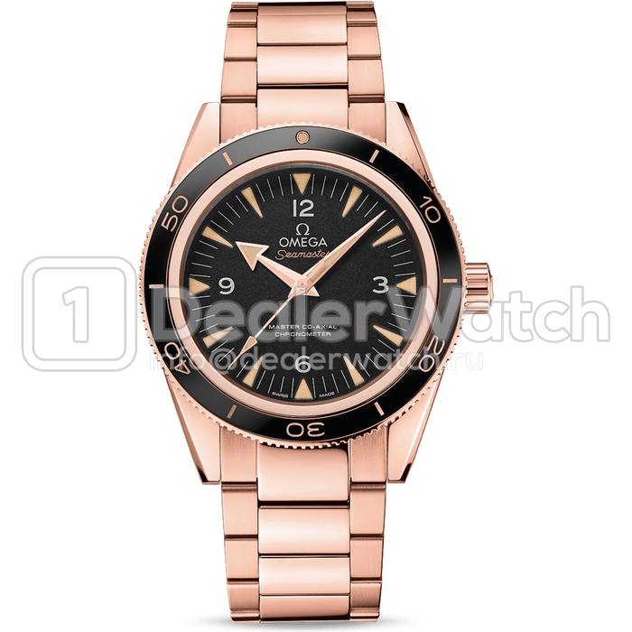 Часы Omega Seamaster 300 Omega Master Co-Axial 41 mm