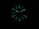 Часы Audemars Piguet Royal Oak Offshore Diver QEII Cup 2014