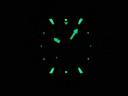 Часы Franck Muller Skafander