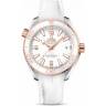 Часы Omega Seamaster Planet Ocean 600M Co-Axial 39.5 Master Chronometer 215.23.40.20.04.001