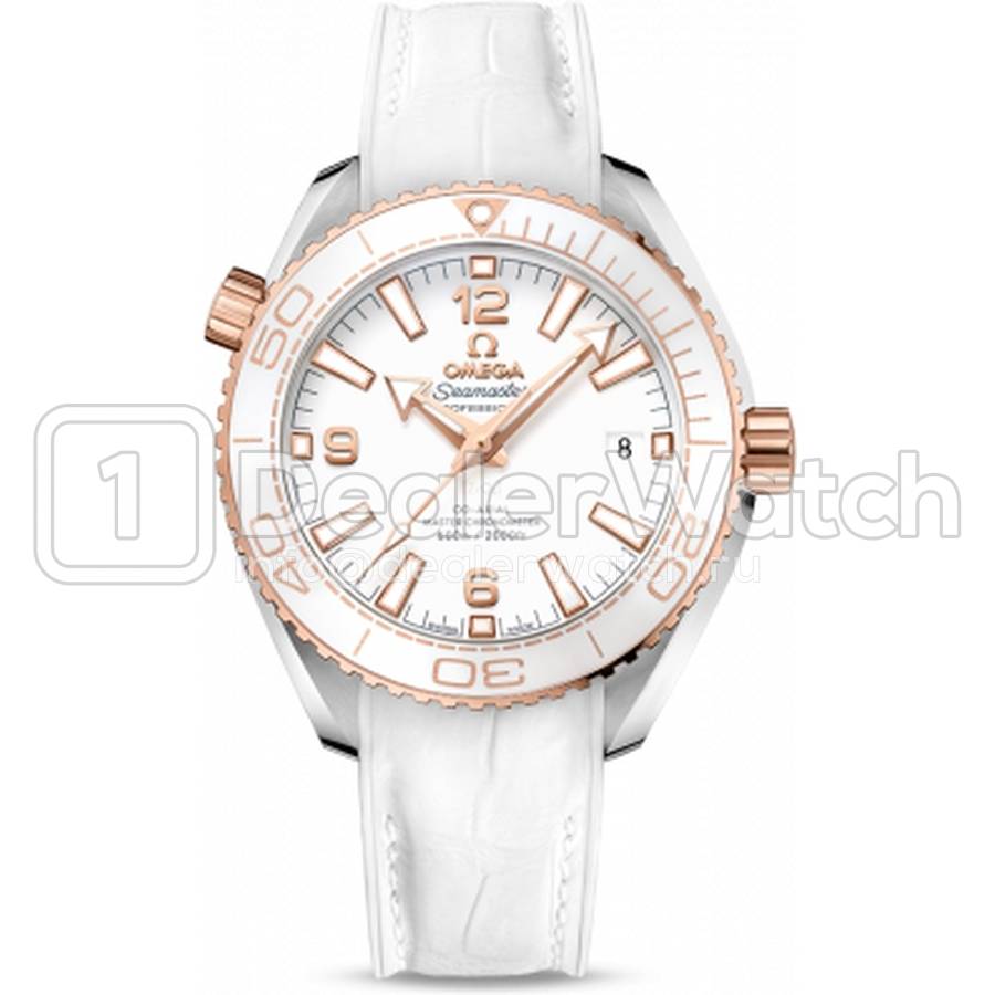 Часы Omega Seamaster Planet Ocean 600M Co-Axial 39.5 Master Chronometer 215.23.40.20.04.001