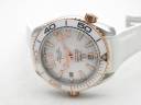 Часы Omega Seamaster Planet Ocean 600M Co-Axial 39.5 Master Chronometer 215.23.40.20.04.001