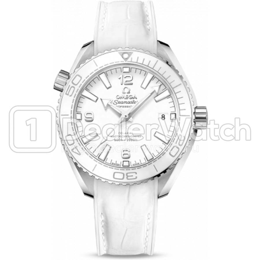 Часы Omega Seamaster Planet Ocean 600M Co-Axial 39.5 Master Chronometer 215.33.40.20.04.001