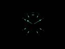 Часы Audemars Piguet Royal Oak Offshore Juan Pablo Montoya
