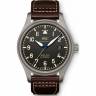 Часы IWC Mark XVIII Heritage IW327006
