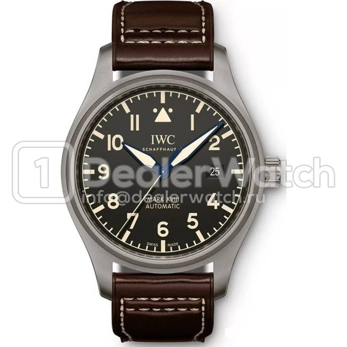 Часы IWC Mark XVIII Heritage IW327006