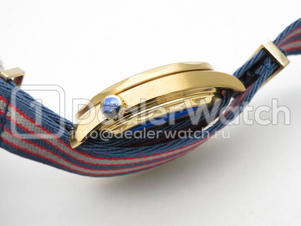Часы Seamaster Diver 300M "COMMANDER’S WATCH"