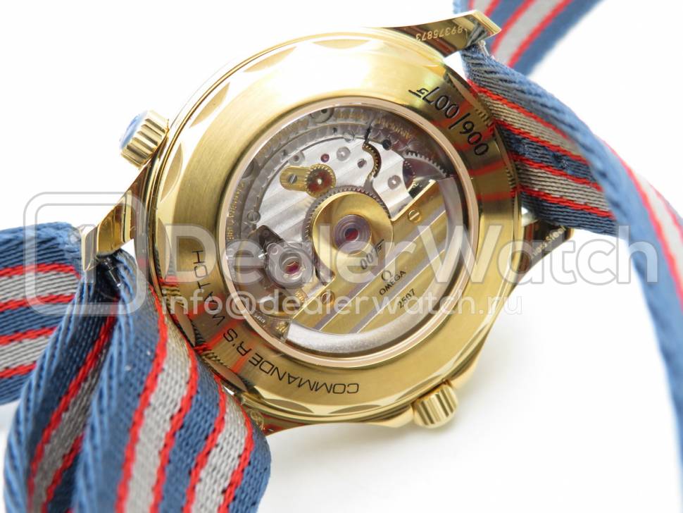 Часы Seamaster Diver 300M "COMMANDER’S WATCH"