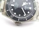 Часы Tudor Pelagos LHD 25610TNL